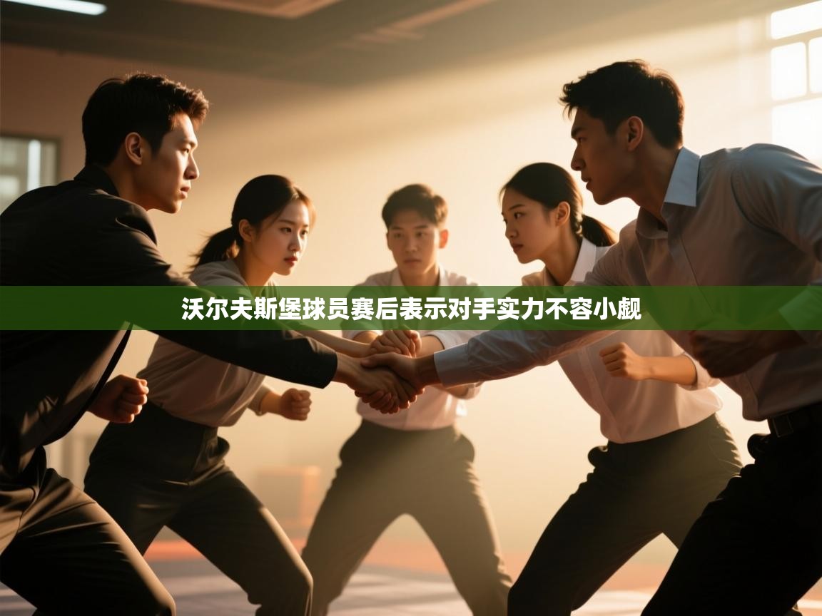 沃尔夫斯堡球员赛后表示对手实力不容小觑  第1张