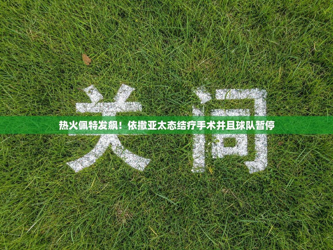 热火佩特发飙！依撒亚太态结疗手术并且球队暂停
